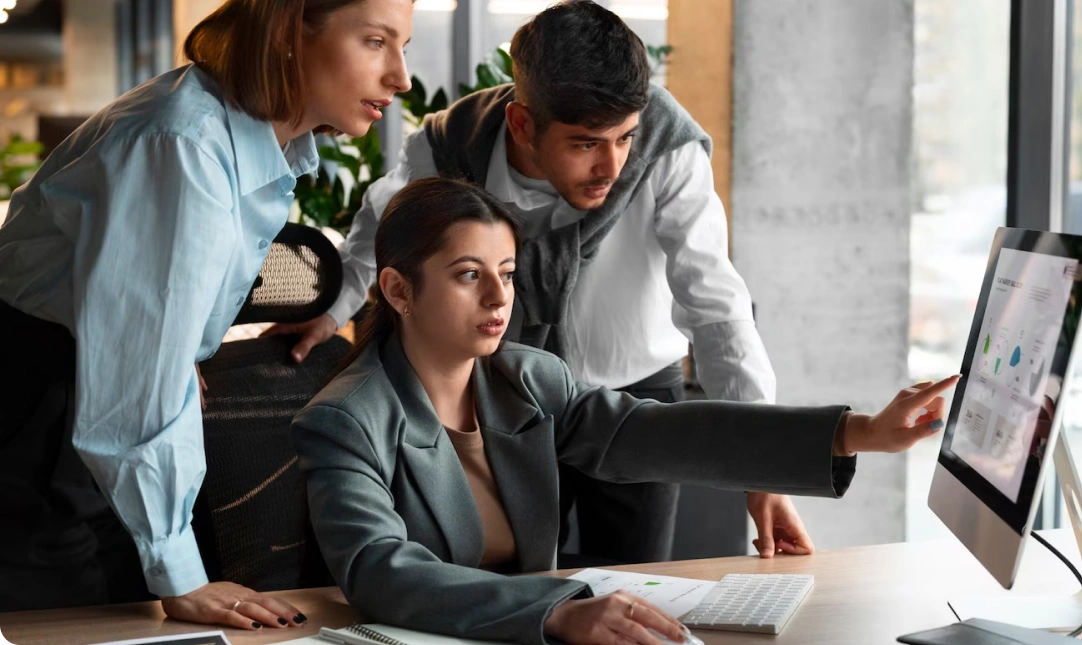 IT Consultants